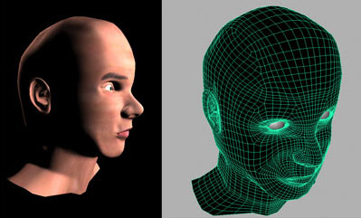 head